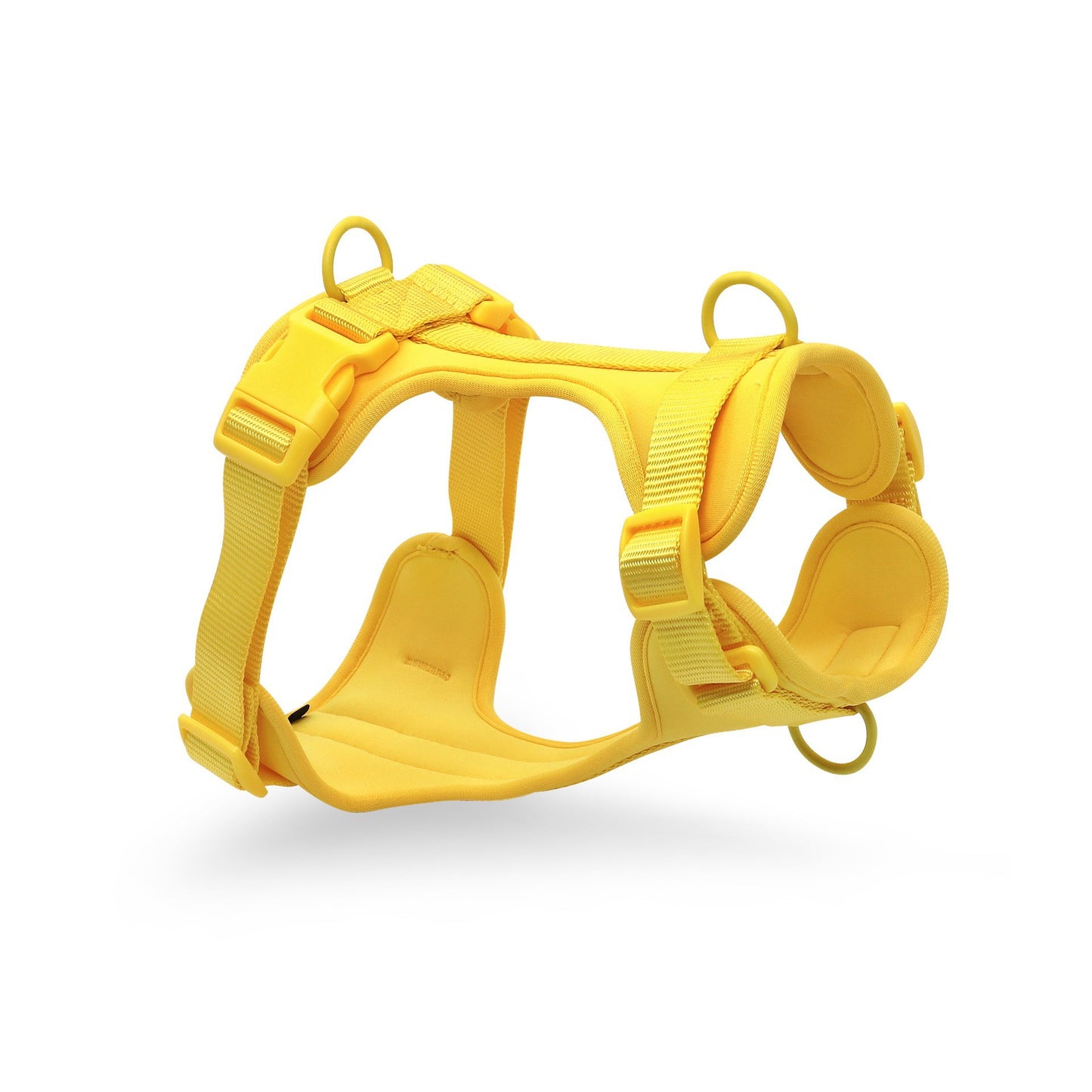OXFORD - Choix de Laisses, Colliers et Harnais Imperméable de haute qualité. 5 Choix de Couleurs