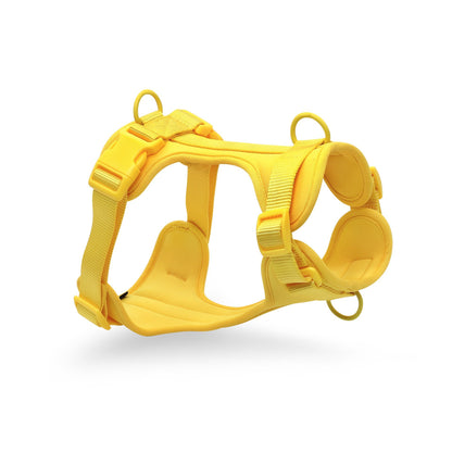 OXFORD - Choix de Laisses, Colliers et Harnais Imperméable de haute qualité. 5 Choix de Couleurs