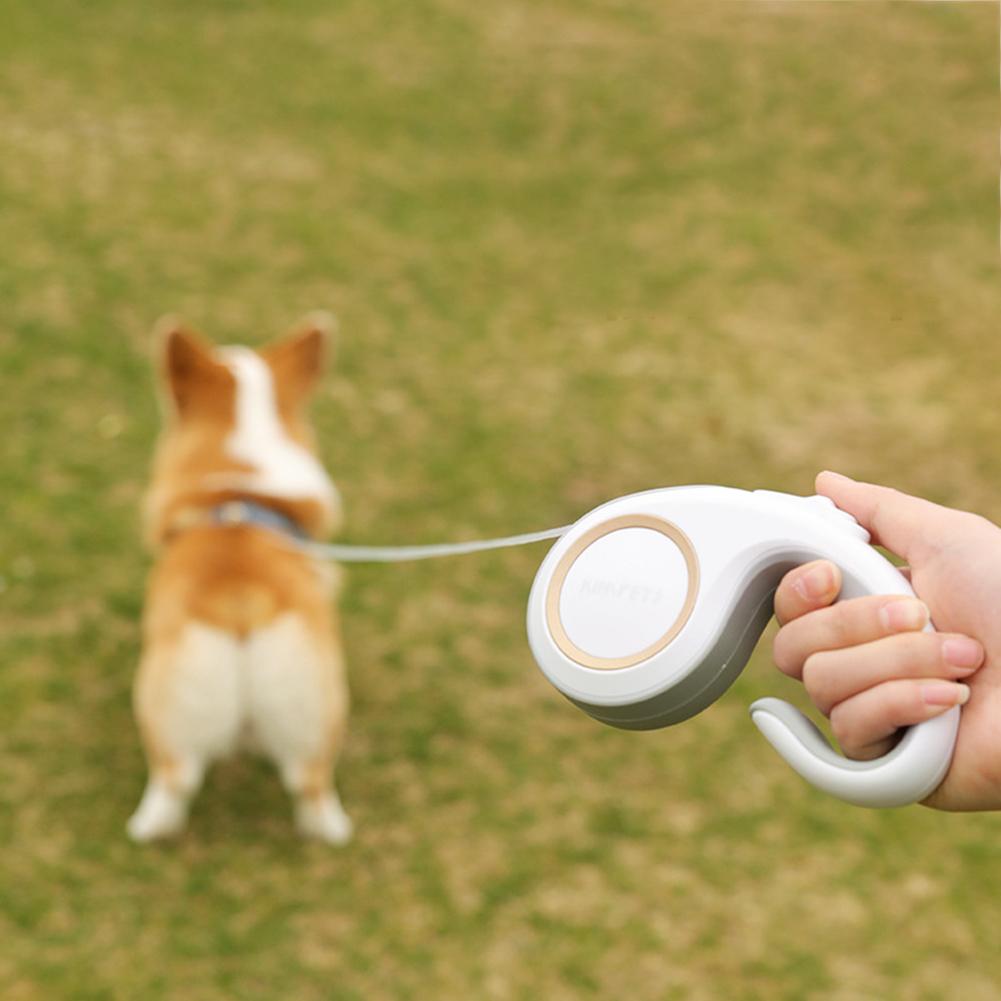 Laisse Kimpets fluorescent rétractable, automatique et de qualité supérieur pour chien et chiot 3M