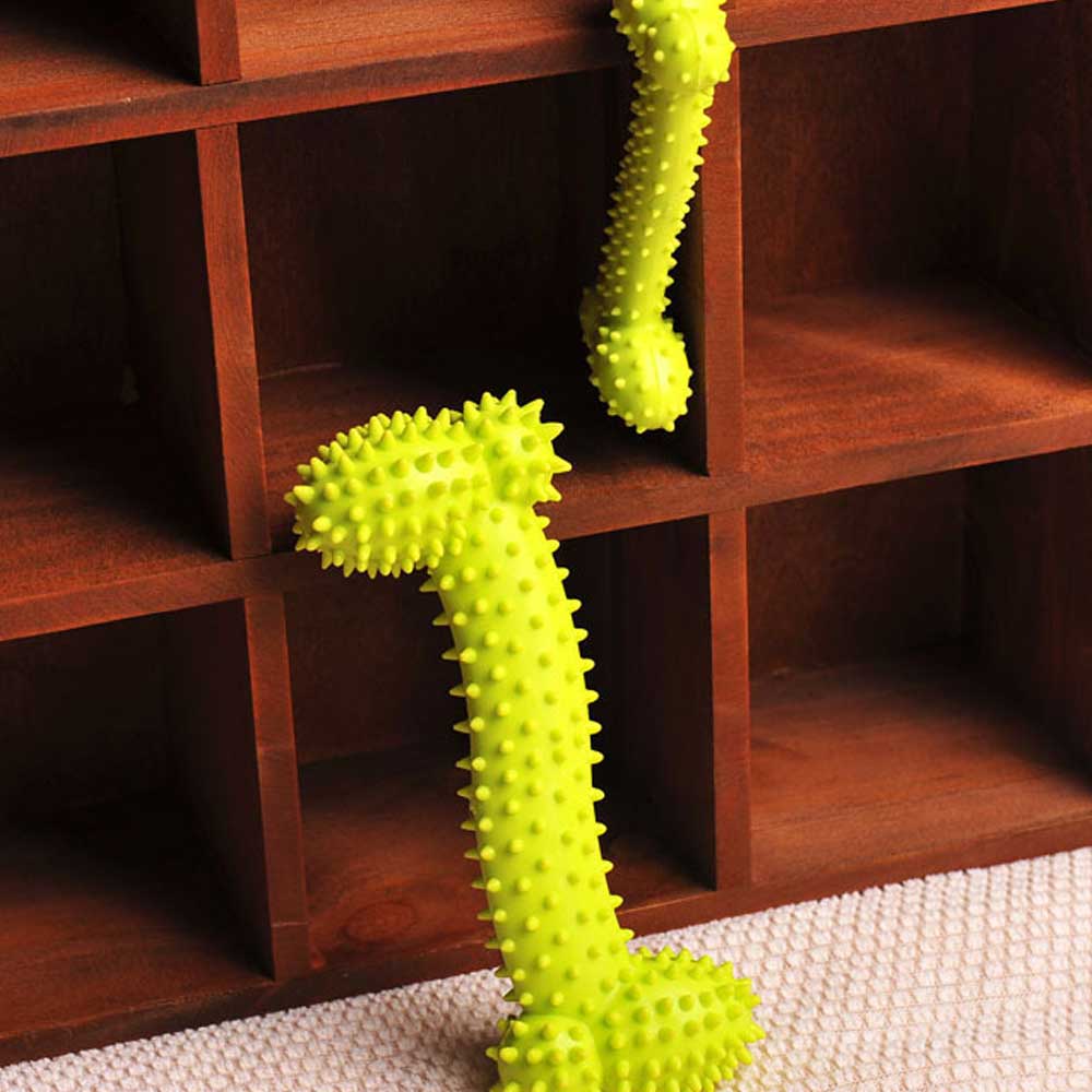 Pet Product Rubber Dog Toy with Thorn Bone Rubber Molar Teeth Pet Toy Dog Bite Resistant Molar Training Grinding Teeth Toys