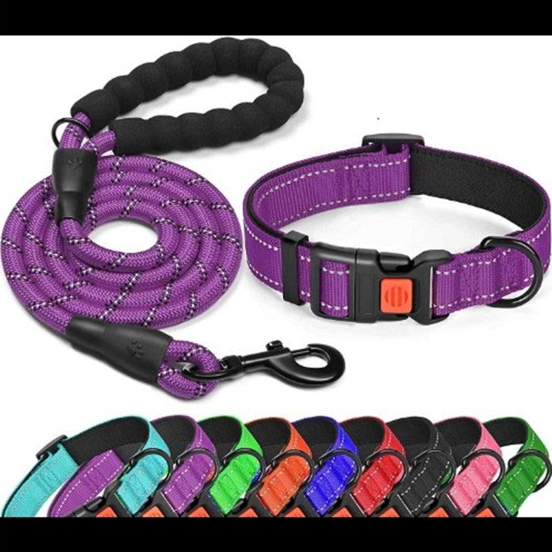 Ensemble collier et laisse pour chien en nylon réfléchissante et réglable