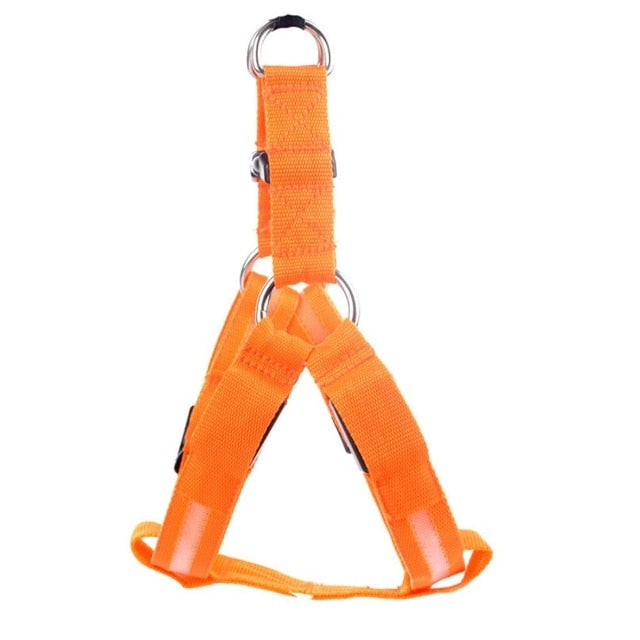 Harnais de sécurité en nylon avec lumière clignotante DEL