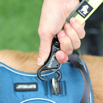 Laisse Élastique pour Chien avec Ceinture Mains Libres - Idéale Course et Activités Extérieures