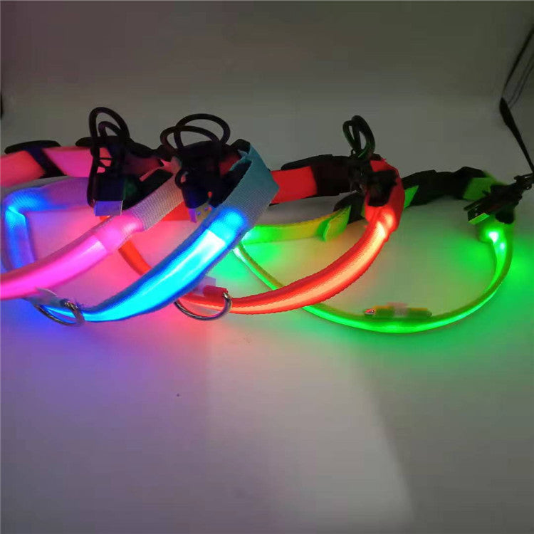 Collier LED Rechargeable USB - Pour Chiens
