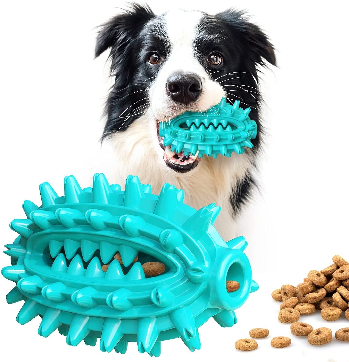 Jouet à mâcher, bâton molaire pour chien