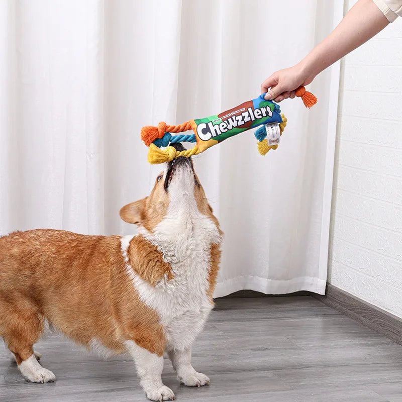 Jouets Corde Coton Colorée Tressée - Nettoyage Dents pour Chiots et Chiens