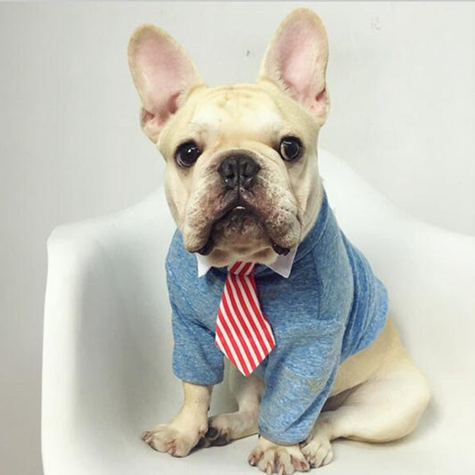 Cravates mignonnes et élégante pour chien et chat