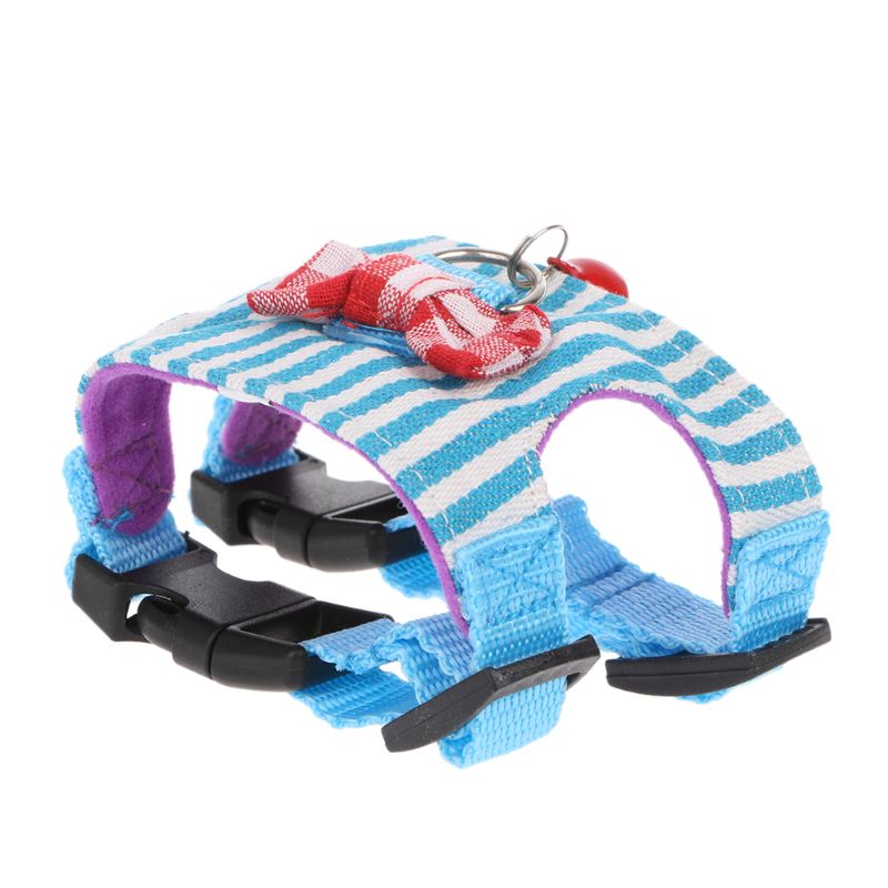 Harnais et laisse pour petit animal de compagnie, hamster, lapin, furet, cochon d'Inde,