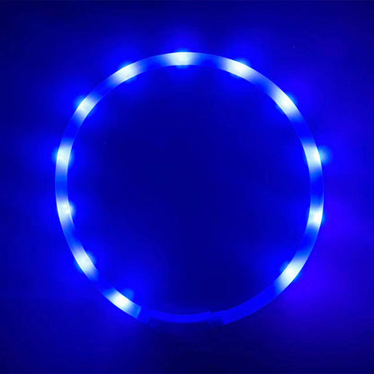 Collier Lumineux LED Rechargeable USB pour Chien - Sécurité Maximale la Nuit