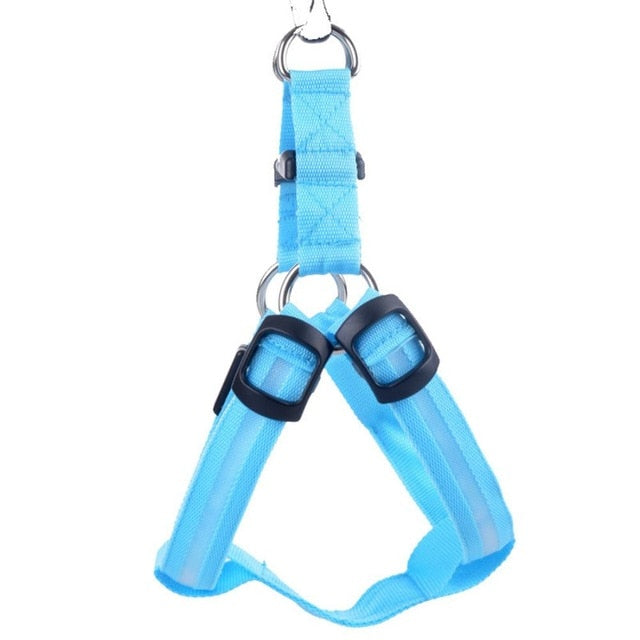 Harnais de sécurité en nylon avec lumière clignotante DEL