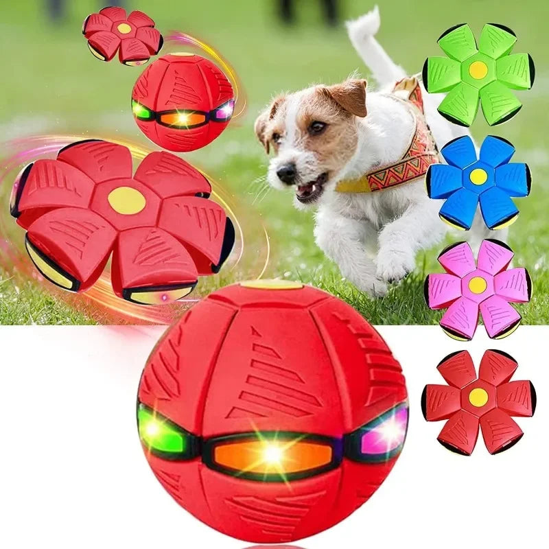 Balle Magique UFO avec lumière LED pour chiens