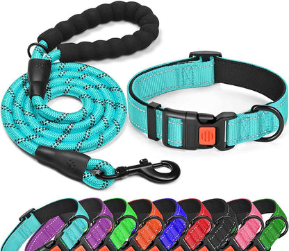 Ensemble collier et laisse pour chien en nylon réfléchissante et réglable