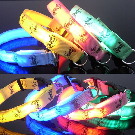 Collier lumineux à DEL pour chien, avec design Mickey mouse, Hello kitty. Rechargeable ou à batterie.