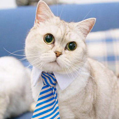 Cravates mignonnes et élégante pour chien et chat