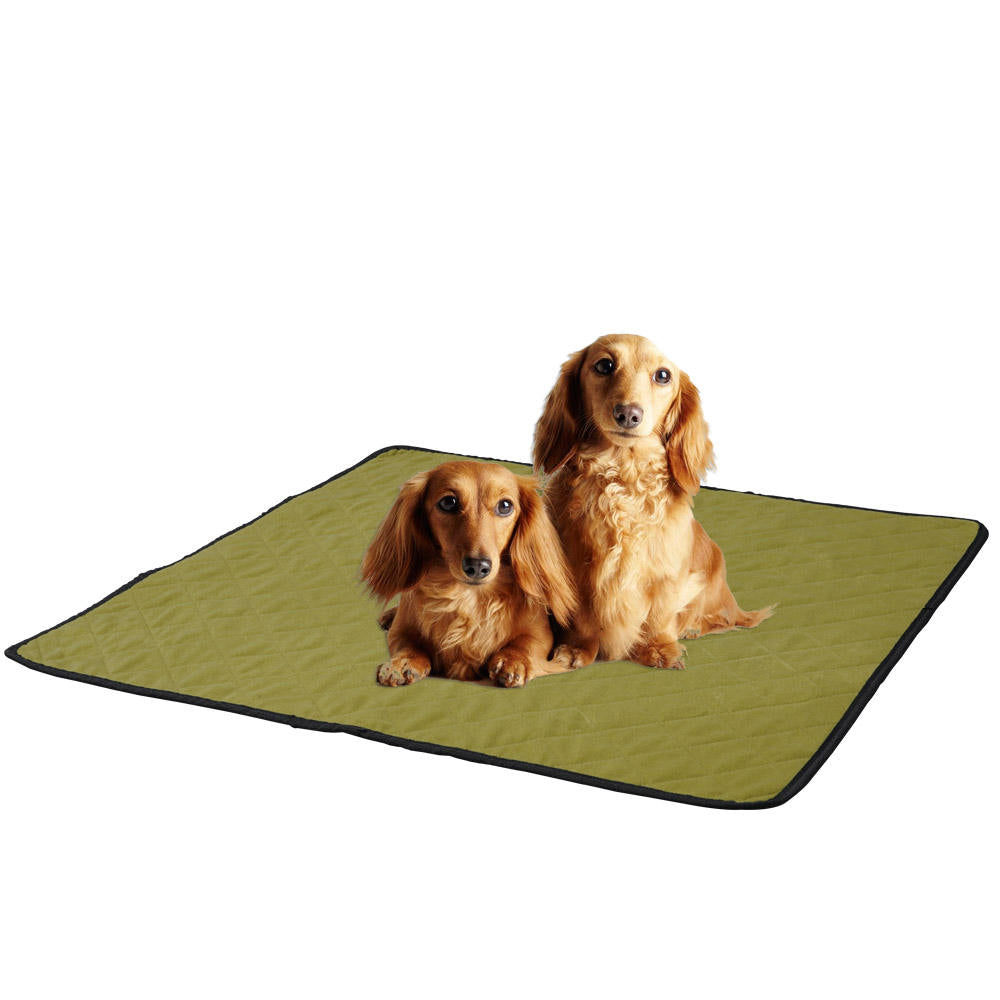 Pet Diaper Pad Reusable Washable Dog Diaper Pad Absorbent Non-Slip Waterproof Diaper Pad Training Diaper Not Wet