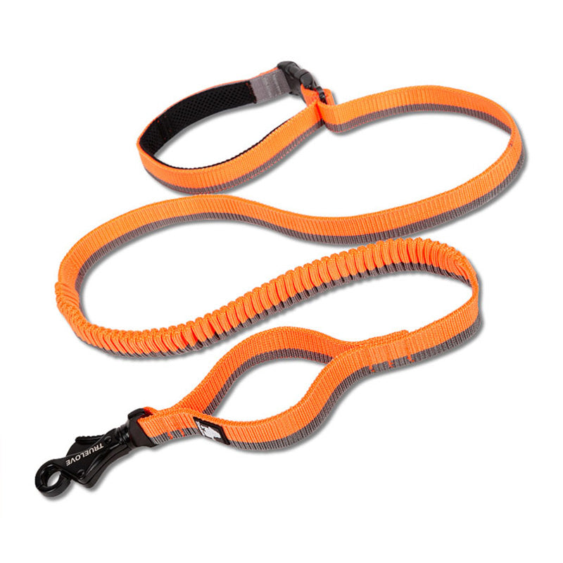 Laisse Élastique pour Chien avec Ceinture Mains Libres - Idéale Course et Activités Extérieures