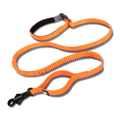 Laisse Élastique pour Chien avec Ceinture Mains Libres - Idéale Course et Activités Extérieures