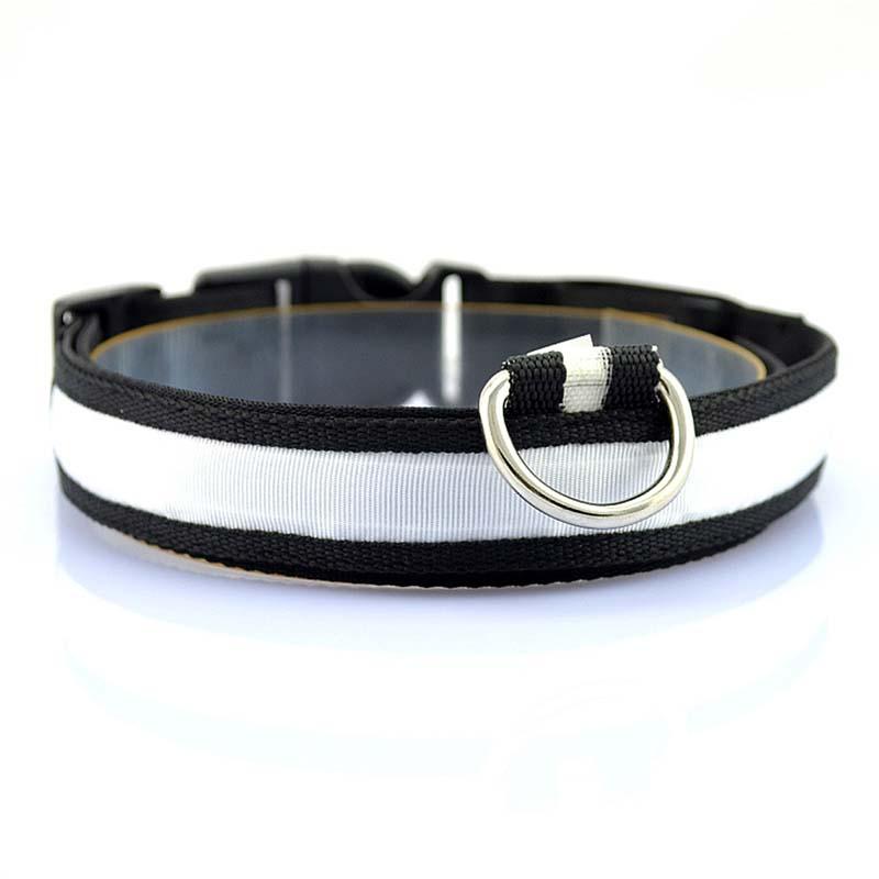 Collier en nylon pour chien et chat, lumière DEL, sécurité nocturne, flash lumineux