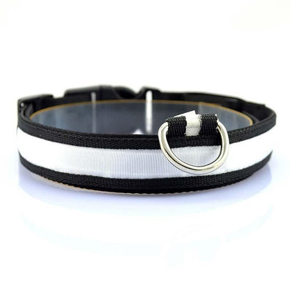 Collier en nylon pour chien et chat, lumière DEL, sécurité nocturne, flash lumineux