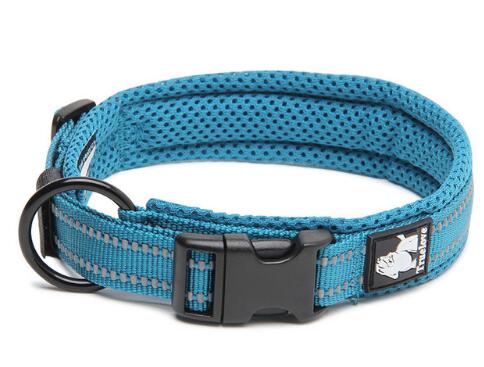 TrueLove - Collier Nylon réfléchissant - Chien - Bleu