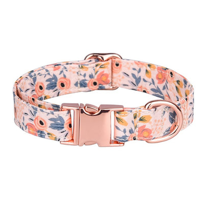 Ensemble Fleurs Orange et Bleu - Collier - Boucle - Nœud Papillon - Laisse