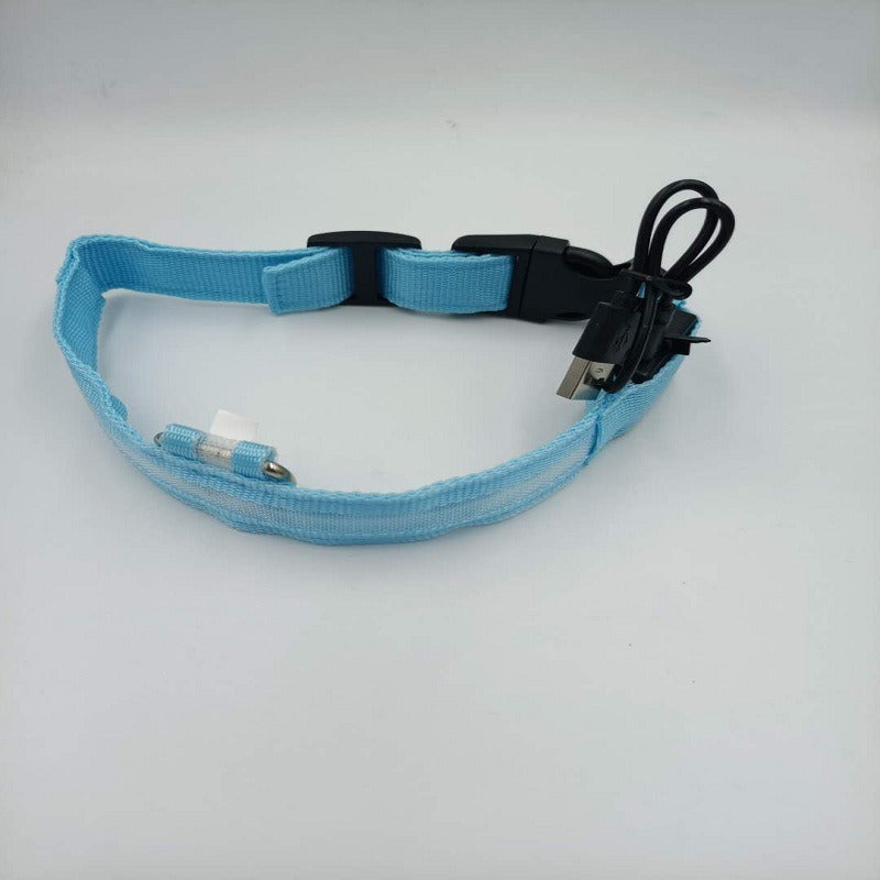 Collier LED Rechargeable USB - Pour Chiens