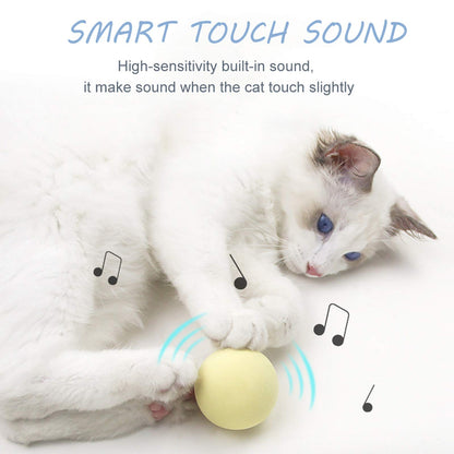 Smart Cat Toys Interactive Ball Catnip Cat Training Toy Pet Playing Ball Pet Squeaky Supplies Products Toy for Cats Kitten Kitty