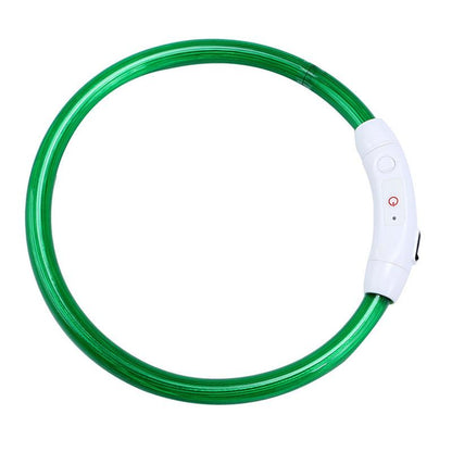 Collier pour chien rechargeable par USB, tube DEL clignotant, lumineux, pour la nuit, Anneau de cou lumineux