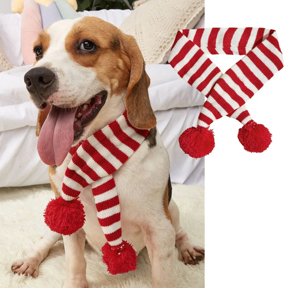 Écharpe de Noël Tricotée pour Chien et Chat - Design Élan et Rayures - Parfaite pour l'Hiver
