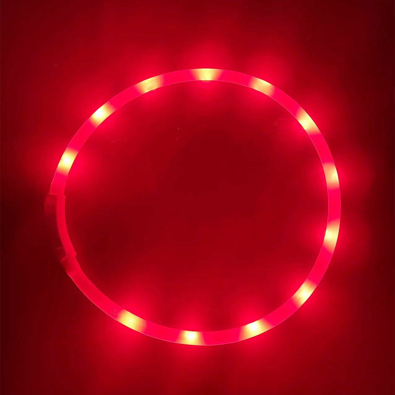 Collier Lumineux LED Rechargeable USB pour Chien - Sécurité Maximale la Nuit