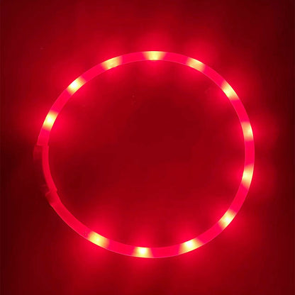 Collier Lumineux LED Rechargeable USB pour Chien - Sécurité Maximale la Nuit