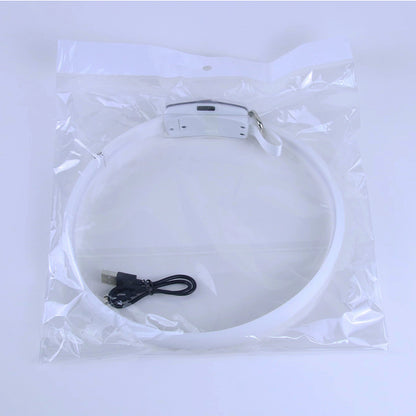 Collier lumineux à DEL pour chien et chat, multicolore, 11 types et modes clignotants, Ajustable et résistant à l’eau