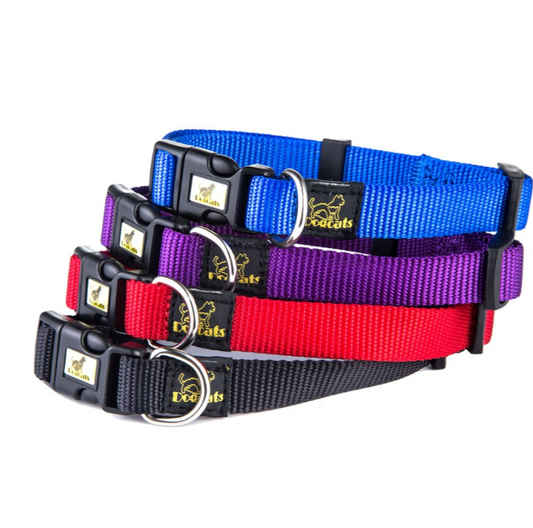 DOGCAT - Ensemble - colliers et laisses en nylon - 4 Couleurs