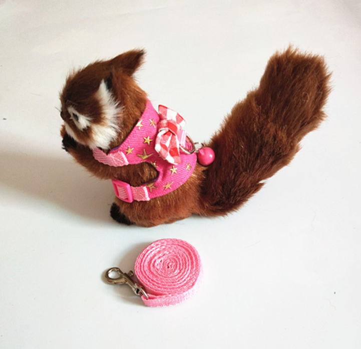 Harnais et laisse pour petit animal de compagnie, hamster, lapin, furet, cochon d'Inde,