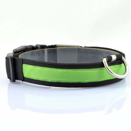 Collier en nylon pour chien et chat, lumière DEL, sécurité nocturne, flash lumineux