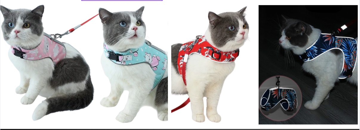 Ensemble de harnais et laisse réfléchissantes à motifs amusants - Pour Chiens et Chats