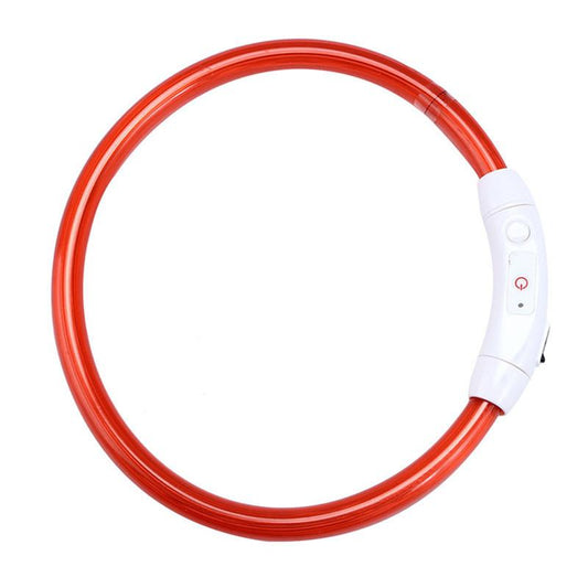 Collier pour chien rechargeable par USB, tube DEL clignotant, lumineux, pour la nuit, Anneau de cou lumineux