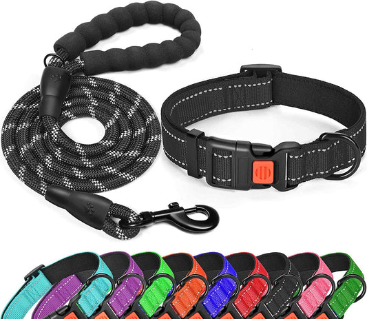 Ensemble collier et laisse pour chien en nylon réfléchissante et réglable