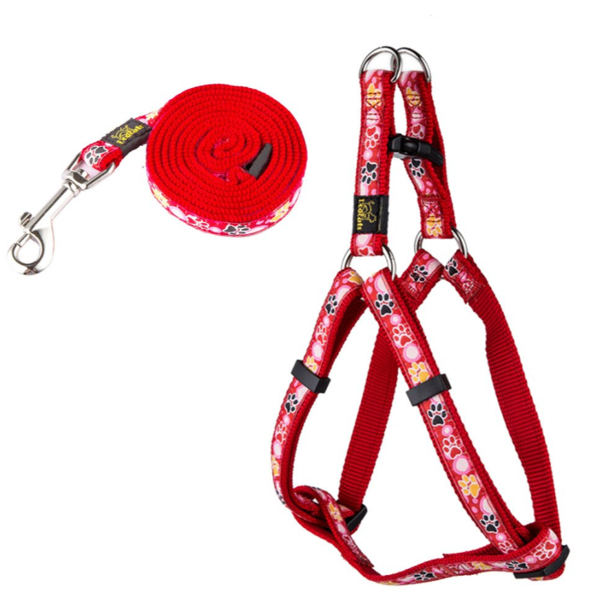DOGCAT - Collier et Laisse en Nylon - Motifs Patte de Chien