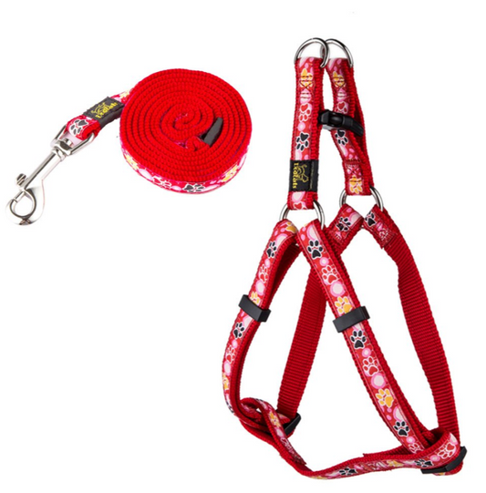 DOGCAT - Collier et Laisse en Nylon - Motifs Patte de Chien
