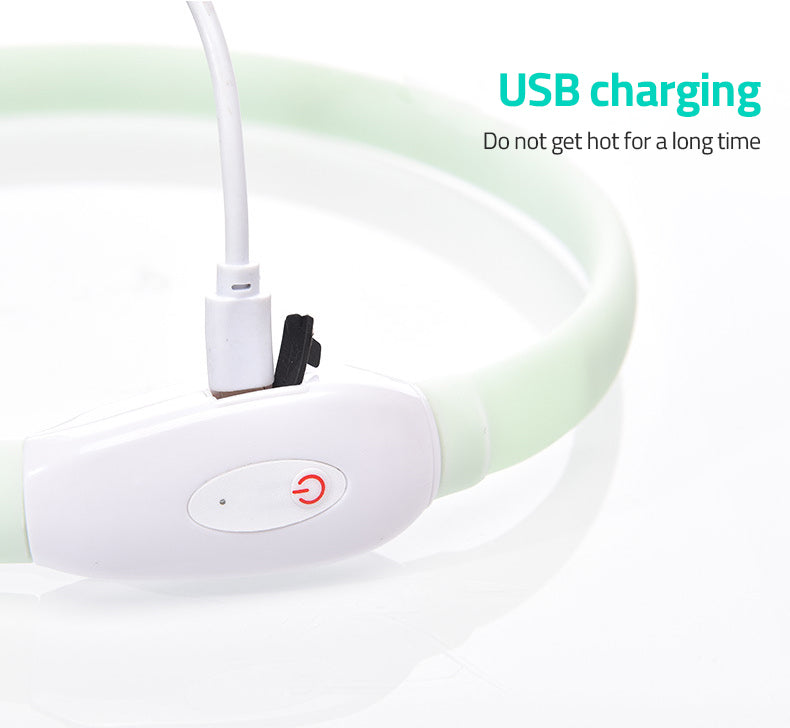 Collier lumineux à DEL et recharge USB