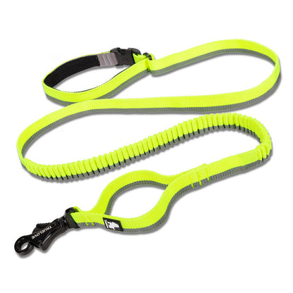 Laisse Élastique pour Chien avec Ceinture Mains Libres - Idéale Course et Activités Extérieures