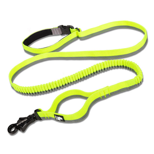 Laisse Élastique pour Chien avec Ceinture Mains Libres - Idéale Course et Activités Extérieures