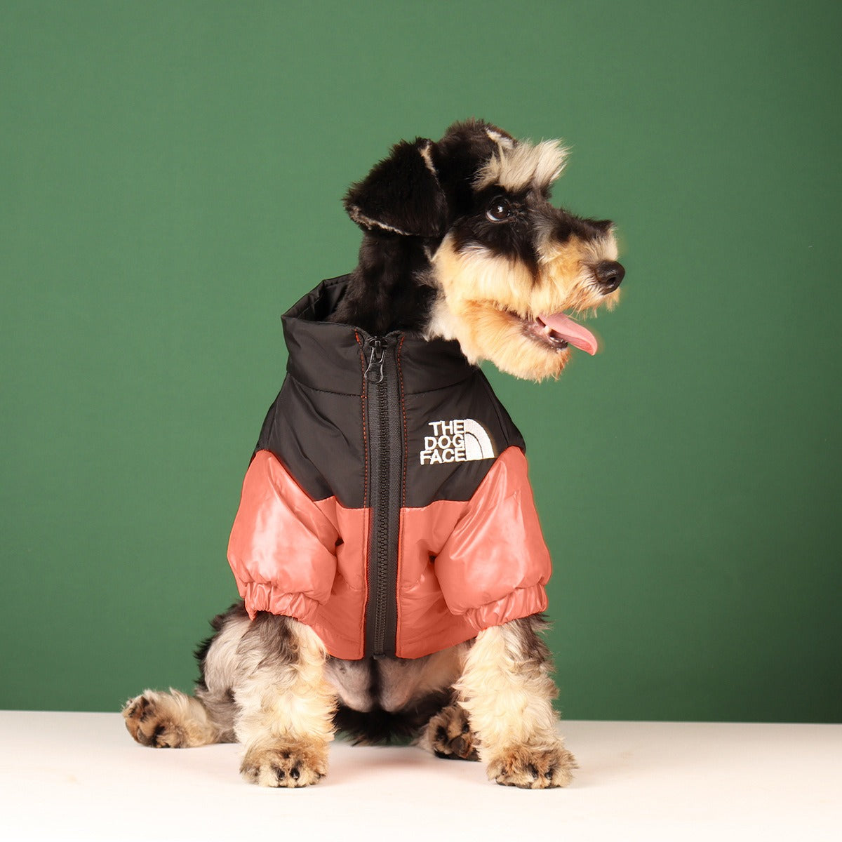 Manteau d'Hiver Coupe-Vent pour Chien et Chats - Veste Matelassée Chaude - Tailles Petites et Moyennes