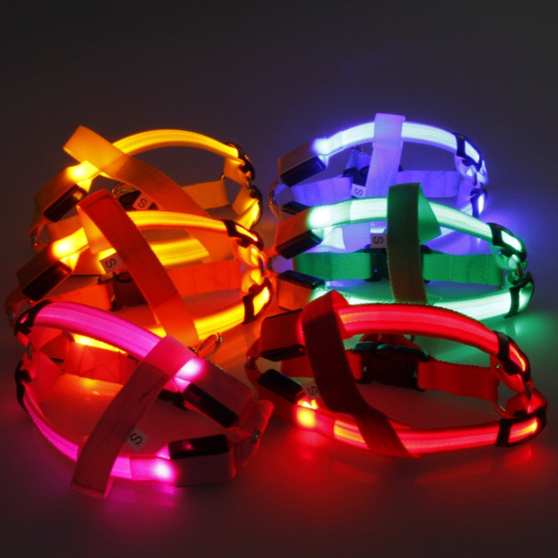 Harnais de sécurité en nylon avec lumière clignotante DEL