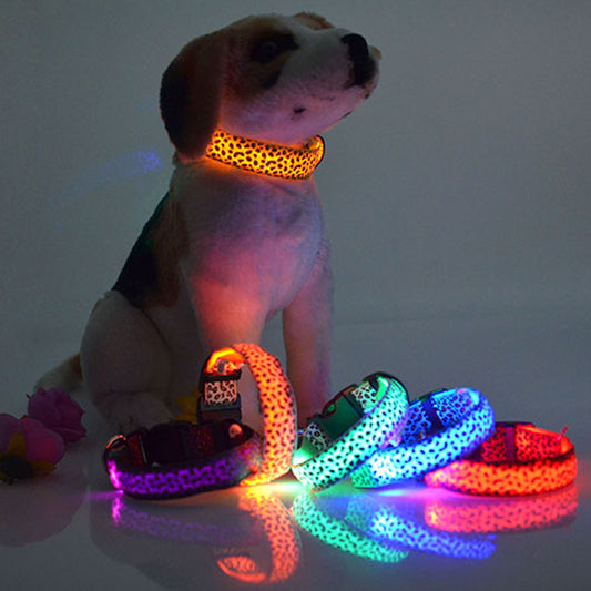 Collier léopard lumineux à DEL pour chien, Anneau de cou lumineux à DEL pour chien
