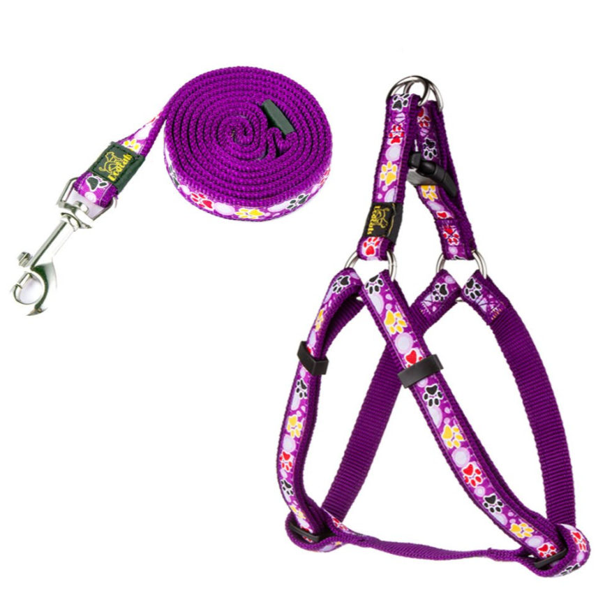 DOGCAT - Collier et Laisse en Nylon - Motifs Patte de Chien