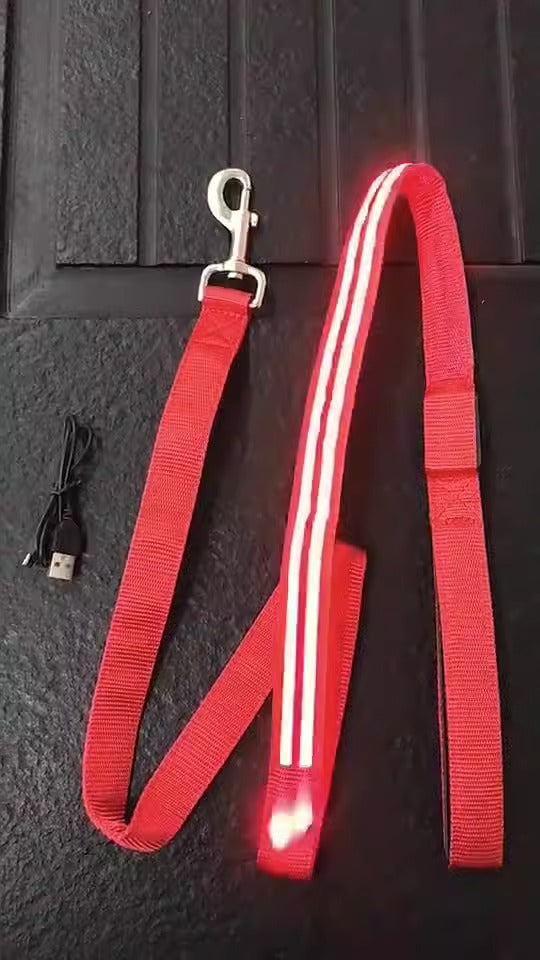 Laisse LED Rechargeable USB pour Chiens et Chats - Fibre Optique Double - Sécurité Nocturne