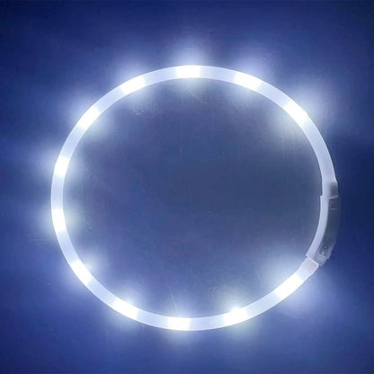 Collier Lumineux LED Rechargeable USB pour Chien - Sécurité Maximale la Nuit