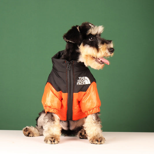Manteau d'Hiver Coupe-Vent pour Chien et Chats - Veste Matelassée Chaude - Tailles Petites et Moyennes